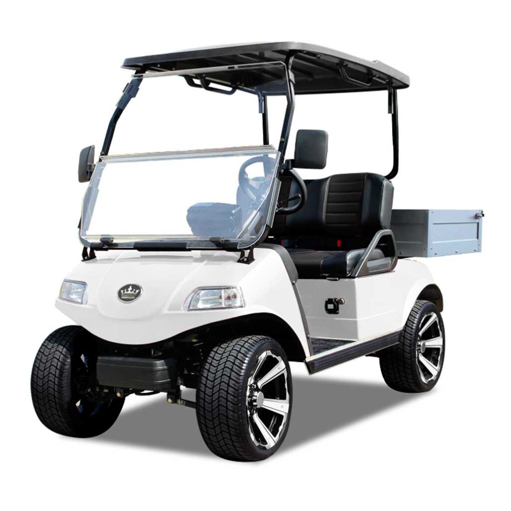 EVolution Easy Ride Golf Cars