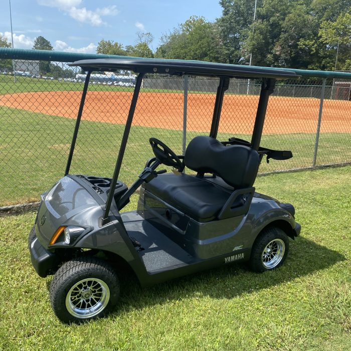 Great NEW Yamaha AC Electric